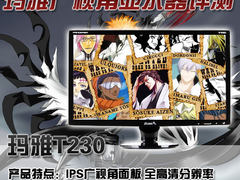 玛雅首款23吋广视角液晶 T230深度评测