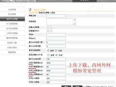 免疫网络的带宽管理效果不同寻常