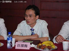 2010中国显示系统产业高峰论坛上海举行