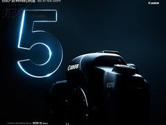 [北京]配24-105头 无敌兔套机上扬数百