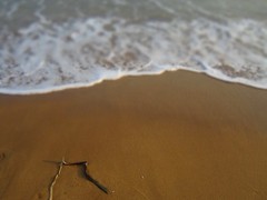 【每日一图】鼓浪屿夕阳撒向静谧的海水