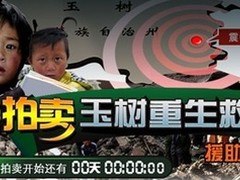 金蝶开放“玉树重生救援慈善拍卖平台”