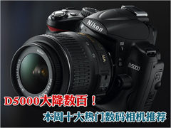 尼康D5000大降数百 本周十大热门DC推荐