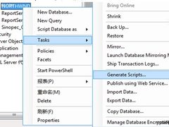 两大秘笈：SQL Server向SQL Azure迁移