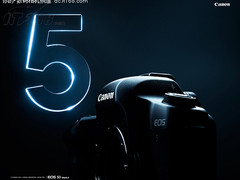 [北京]套机又降不少 无敌兔月内出新低