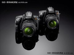 对付性升级　索尼正式发布α290及α390