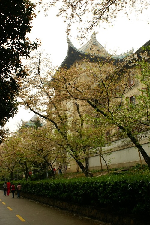 武汉大学