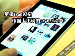 苹果iPad领衔 市面上出现的