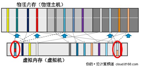 为云计算而生