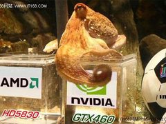 12号前已揭晓 章鱼预测GTX460秒杀R5830