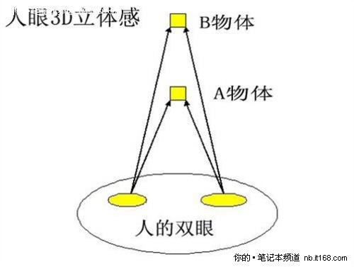 由于人的双眼存在着一定的距离,因此每只眼睛看到一个三维物体时的