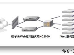梭子鱼Web应用暨数据安全实施案例
