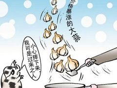 从大蒜价格再涨看BI系统面临的八大挑战