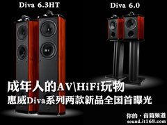 成人的AV玩物 惠威Diva双雄全国首曝光