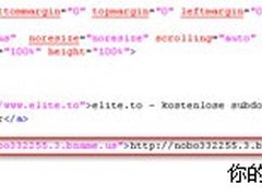 新浪微博遭恶意利用　网络钓鱼再次现身