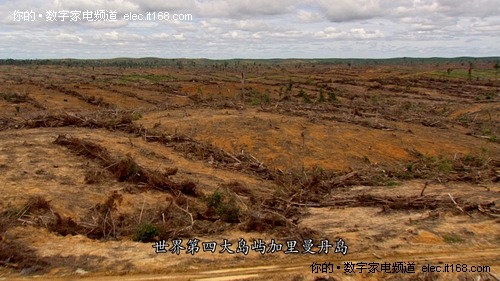 唯一补救工具 湿地和森林也被破坏