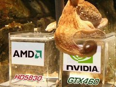 应IT168邀请 章鱼帝预言八月最热销显卡
