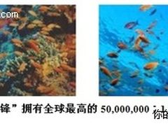 全球最薄LED显示器 AOC新刀锋上市在即