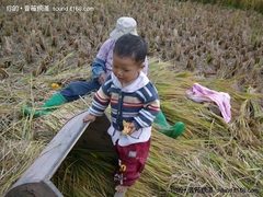 低碳在行动 奋达“低碳达人”活动美图