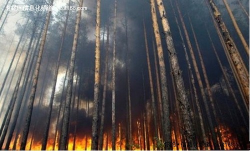 从俄罗斯森林大火看国内林业信息化建设