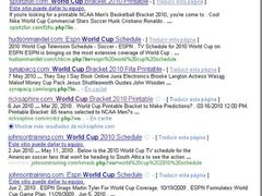 以 2010年南非世界杯为诱饵的流氓软件