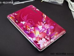 致命诱惑花之恋 联想S10上网本只要2850