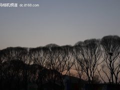 永恒“三剑客” 尼康L110/L21/L22试用