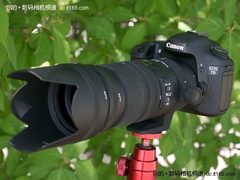 价格翻番值不值？适马防抖小黑样片解析