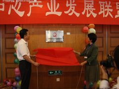 中国数据中心产业发展联盟隆重揭牌仪式