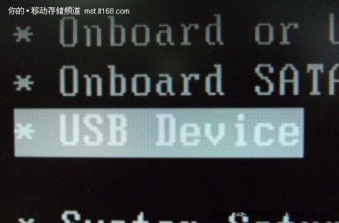 把电脑的第一启动项设为USB设备启动-一分钟