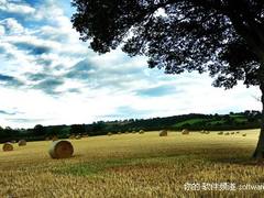 9月21日超细腻画质精品素材壁纸大推荐