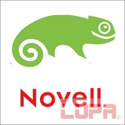 云计算策略难生效:Novell将拆分出售