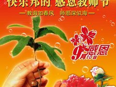 快乐邦的感恩教师节 精品无线鼠推荐