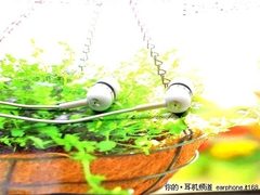 时尚不失典雅 宾果B-801-E耳机特价128