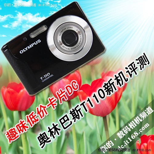 ���ְ�˹T110�»�����