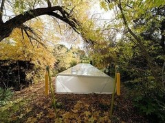 大自然中的办公室 做梦也想去。。。