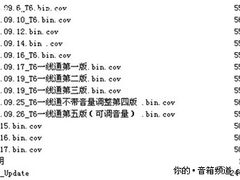 朗琴T6将上市 寻找当年的非官方设计师