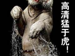 便携真高清三要素：片源、解码、屏幕