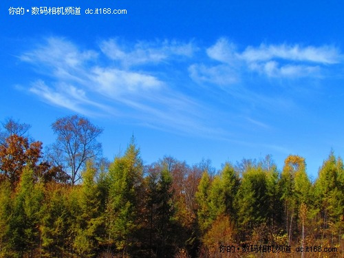 佳能SX30IS探访东北黑土地