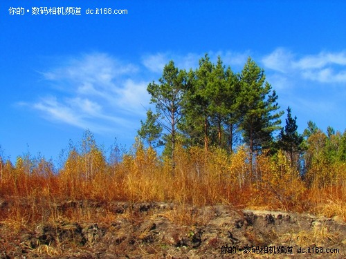 佳能SX30IS探访东北黑土地