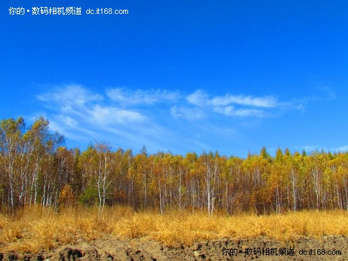 佳能SX30IS探访东北黑土地