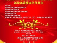 FY10 Q3联想商用业务 荆州潜渠道招募