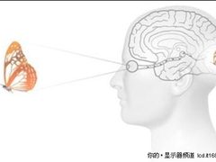 舞动精灵 飞利浦睿蓝LED光波220X1液晶