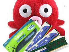 内存章鱼哥预测:2GB 159元离我们有多远