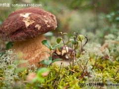 10月27日超细腻画质精品素材壁纸大推荐