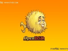 OpenBSD 4.8版正式发布：改进硬件支持