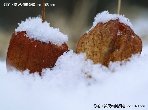 寒冷天气遭遇问题总结