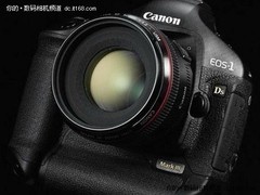 价格依然坚挺 大马三淡季首度小降开卖