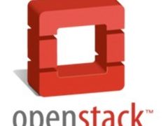 11朵金花！盘点2010年云计算领域的新品