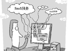 2011年SaaS展望：转型中求生存